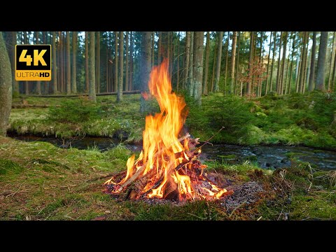 Видео: 4K 📺 Лесной костер у ручья 🔥Расслабляющие звуки чистой природы
