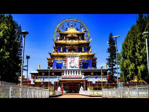 Видео: Индия Отдых в ГОА У великого шамана