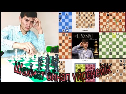 Видео: 1ші сабақ. Шахмат үйрену🤗