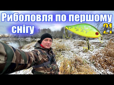 Видео: Риболовля по першому снігу у листопаді 2024