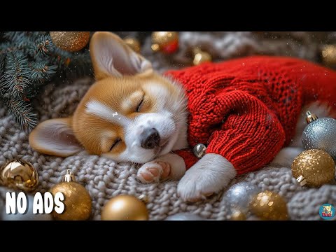 Видео: 12 Часов Расслабляющей Музыки Для Собак🎁Снятие Тревоги Разлуки🐶Музыка для Питомцев🦮Без Рекламы
