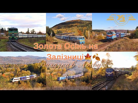 Видео: 🍁Золота Осінь в Карпатах! Вилазка в Лоєву: 2ТЕ10М,УТ, ТЕ33АС, ДПКр3 та інше🚂 ​@nikolyaua 