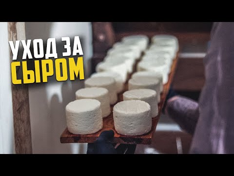 Видео: Как я ухаживаю за сыром | Аффинаж сыра