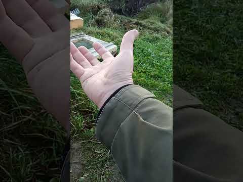 Видео: БРОСАЮ ОТКРЫТОЕ ( причины))