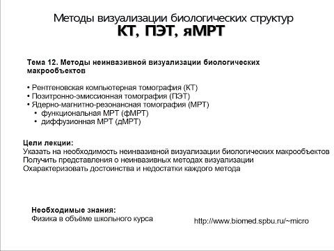 Видео: Неинвазивные методы визуализации крупных объектов.