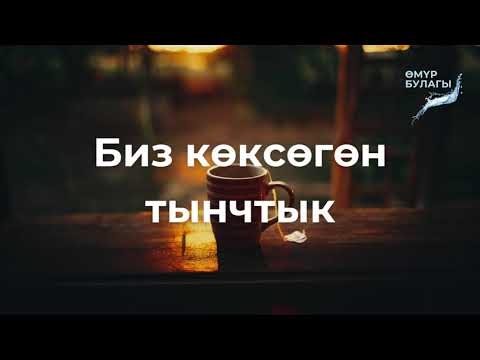 Видео: Биз көксөгөн тынчтык