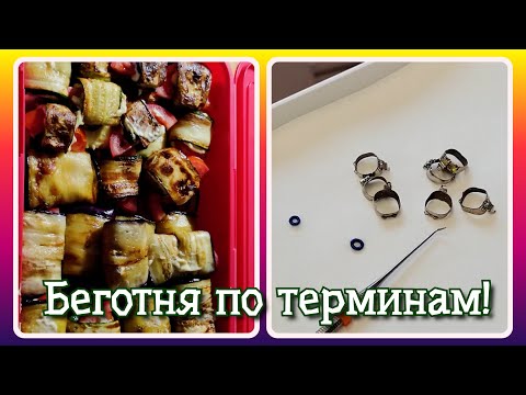 Видео: VLOG из 🇩🇪: Беготня по терминам. Тёщины язычки из баклажан и цукини. Зубной врач в Германии.