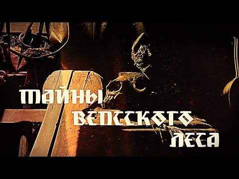 Видео: Тайны Вепсского леса