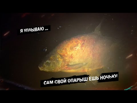 Видео: Рыбалка на кольцо без течения! Остался до темноты!