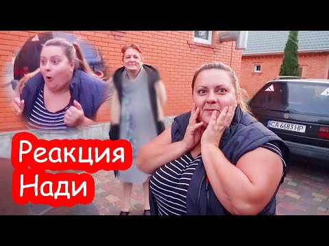 Видео: VLOG Реакция Нади на большого медведя