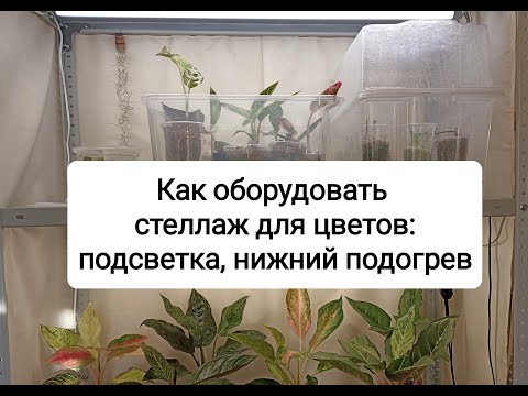 Видео: Как оборудовать стеллаж для растений: подсветка, нижний подогрев