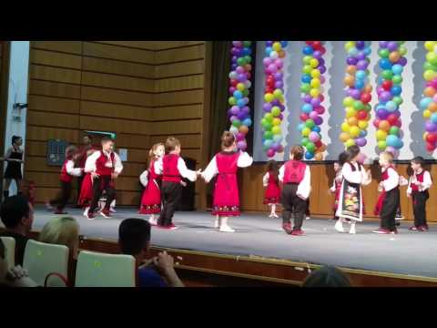 Видео: Ръченица