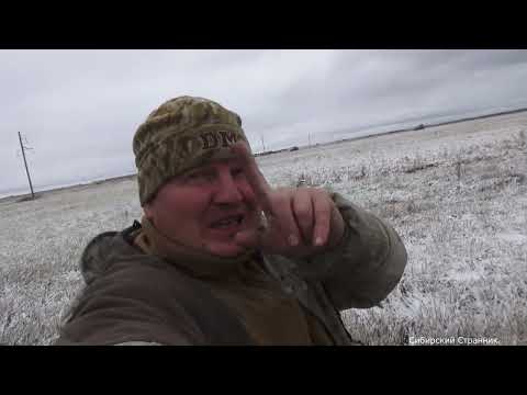 Видео: Выпал снег, а она все идет как дурная.Забрался на болотоходе в глушь.