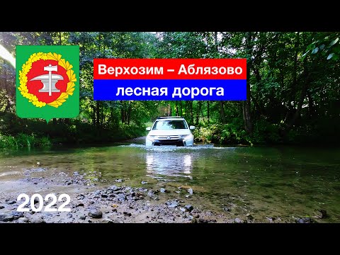 Видео: [4K] Живописная лесная дорога Верхозим — Нижнее Аблязово, Кузнецкий район (3.09.2022)