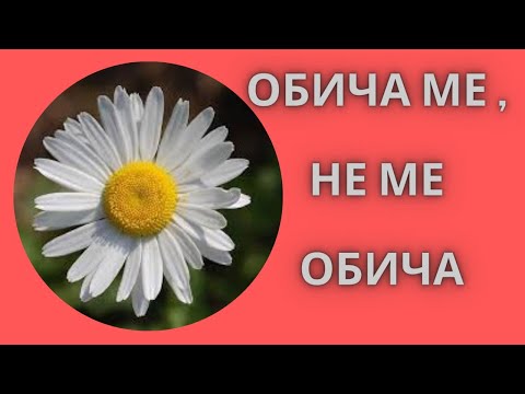 Видео: 💞 Обича ли ме 💞 Той/Тя 💞