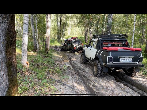 Видео: Брошенные сибирские таёжные дороги. Пробег 4х4