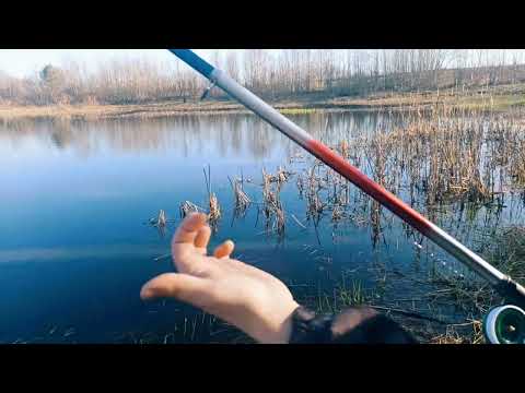Видео: Как забросить поплавок дальше, лайфхак💪 Рыбалка на поплавочную удочку.