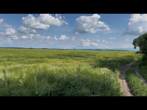 Видео: На рыбалку