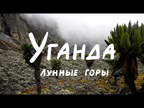 Видео: Уганда - Лунные горы