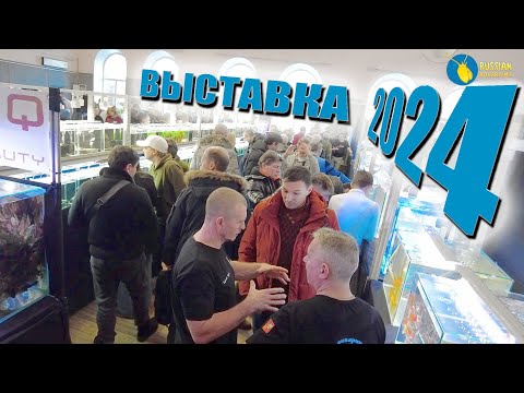 Видео: Выставка аквариумистики 2024