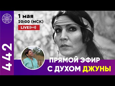 Видео: #442 Прямой эфир с духом Джуны.