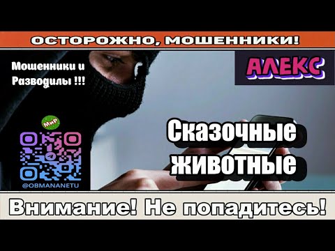 Видео: Мошенники звонят по телефону / Сказочные животные ( сборник ).