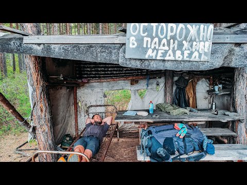 Видео: День 7. Бухта Синичка - падь Песочная. Горит тайга, встреча с оленем, зимовье медведя, моюсь в море