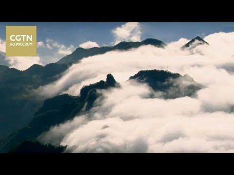 Видео: Великие мастера столетия Сюй Бэйхун Серия 1[Age 0+]