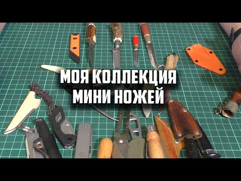 Видео: Моя коллекция мини ножей.  #проножи, #shorts, #обзорножа