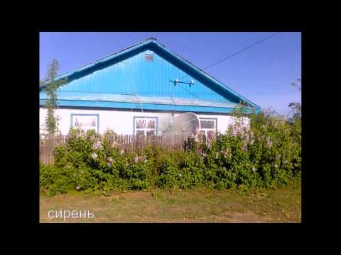 Видео: Зерносовхоз Северный