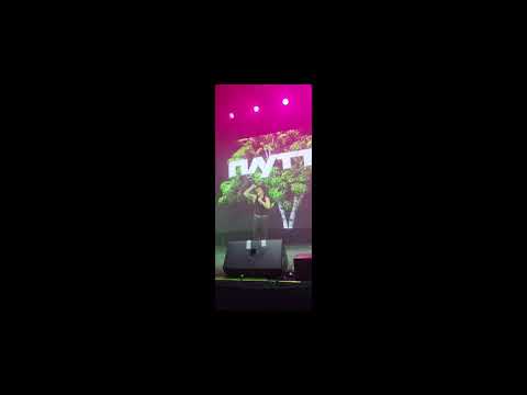 Видео: Практически полный концерт @plutto_boy.