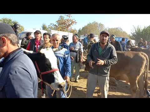 Видео: АНАИРА НАВОР МЕГАН ШВЕТСАРИЯ 904580010. 20 октября 2024 г.