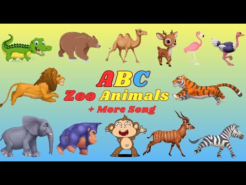 Видео: ABC Zoo Animals 1T11 | Звуки животных джунглей + другие песни | Детское телевидение