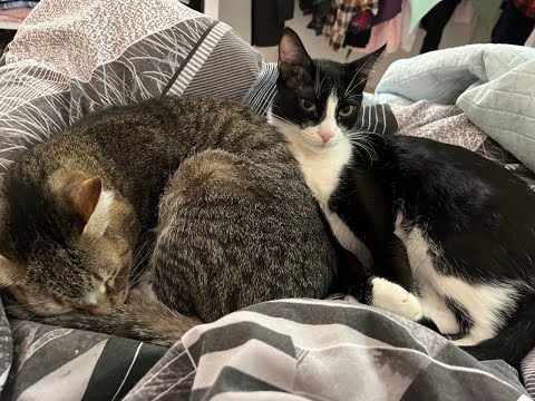 Видео: привет, как дела? помнишь меня?