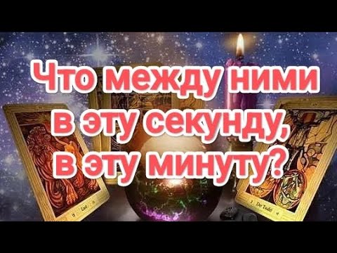 Видео: 💯‼️💥💣😖ОБАЛДЕТЬ ‼️ЧТО МЕЖДУ НИМИ В ЭТУ СЕКУНДУ, В ЭТУ МИНУТУ? #таро#вэтуминувэтусекунду#чтомеждуними 