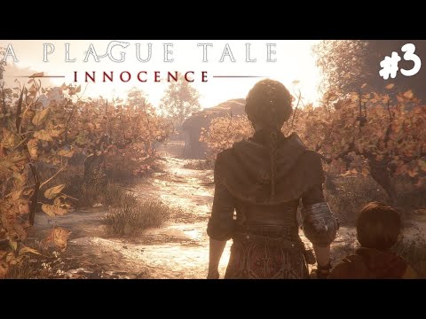 Видео: A Plague Tale: Innocence - Прохождение #3 Две души.