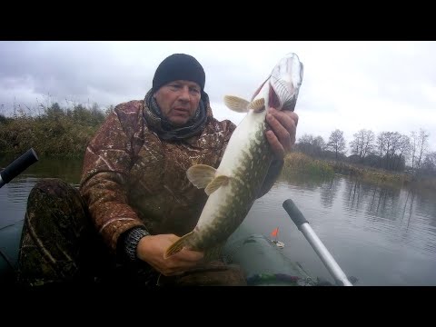 Видео: Осенняя рыбалка в Беларуси. Размочил ноябрь. Щука едва не вытащила из лодки! Выпуск 148.
