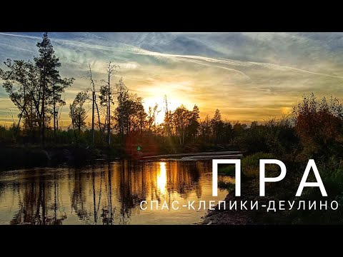 Видео: 26 сентября. Осенний сплав по реке Пра. Спас-Клепики-Деулино. стоянка щучья, рыбалка, сгоревший лес.