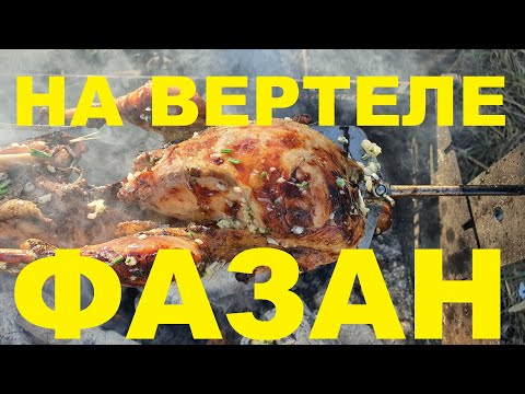 Видео: ФАЗАН НА ВЕРТЕЛЕ ОХОТА НА КУБАНИ РЕЦЕПТЫ СЮФ