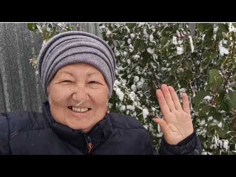 Видео: 28-29 сентября. Зима пришла! Готовлю оладьи. Урожай моркови. Таз огонька. Сняла последние огурцы.