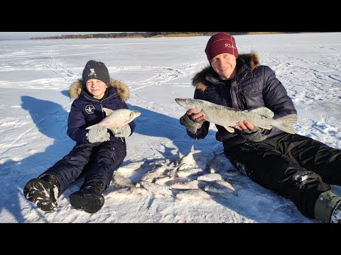Видео: ОСКОЛ Зимняя рыбалка на водохранилище