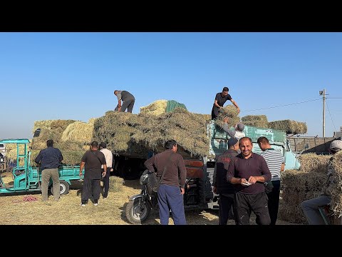 Видео: ХОРАЗМ УРГАНЧ ЕМ ХАШАК ЯНГИ НАРХЛАРИ 6-ОКТЯБР ЯНГИ НАРХЛАР !!! XORAZM SAVDO