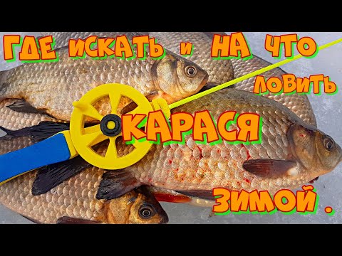 Видео: Ловля КАРАСЯ ЗИМОЙ со ЛЬДА ! Рыбалка в МАРТЕ на мормышку .