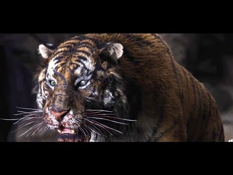 Видео: Skillet - я непобедим (на русском)