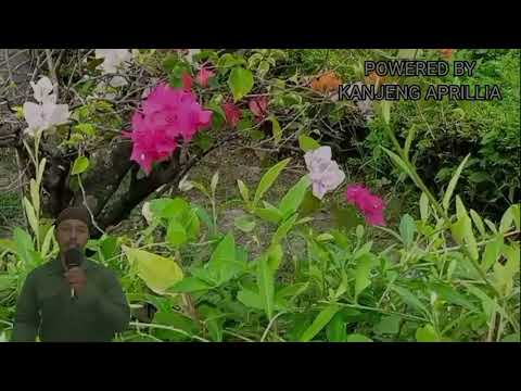 Видео: Иш йулларингз очилади | кутмаган жойингиздан бойлик кела бошлайди