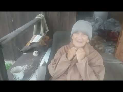 Видео: Дача 60