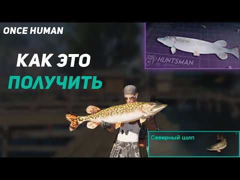 Видео: Once human как получить замороженную северную щуку или где поймать щуку
