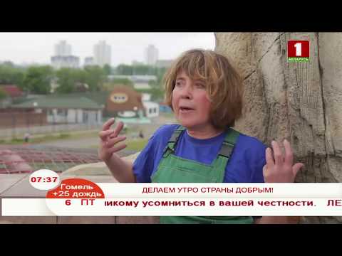 Видео: Утренние профессии. Зоотехник в зоопарке