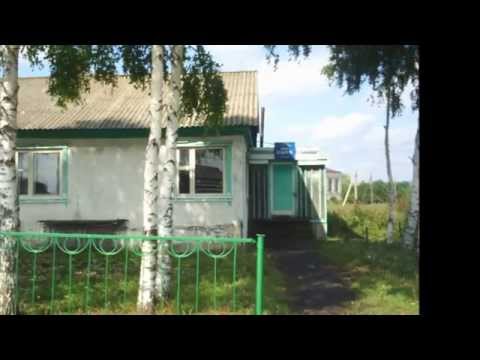 Видео: Карга