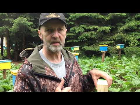 Видео: Ґорґан, результат першого туру. (18.06.2019р.)